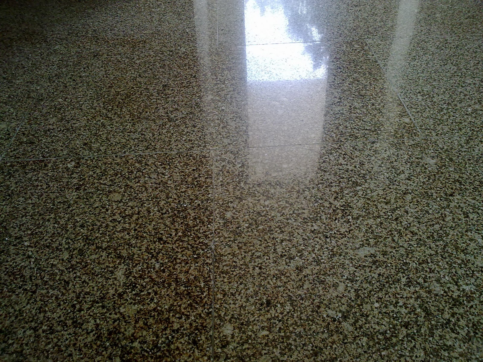 pavimento